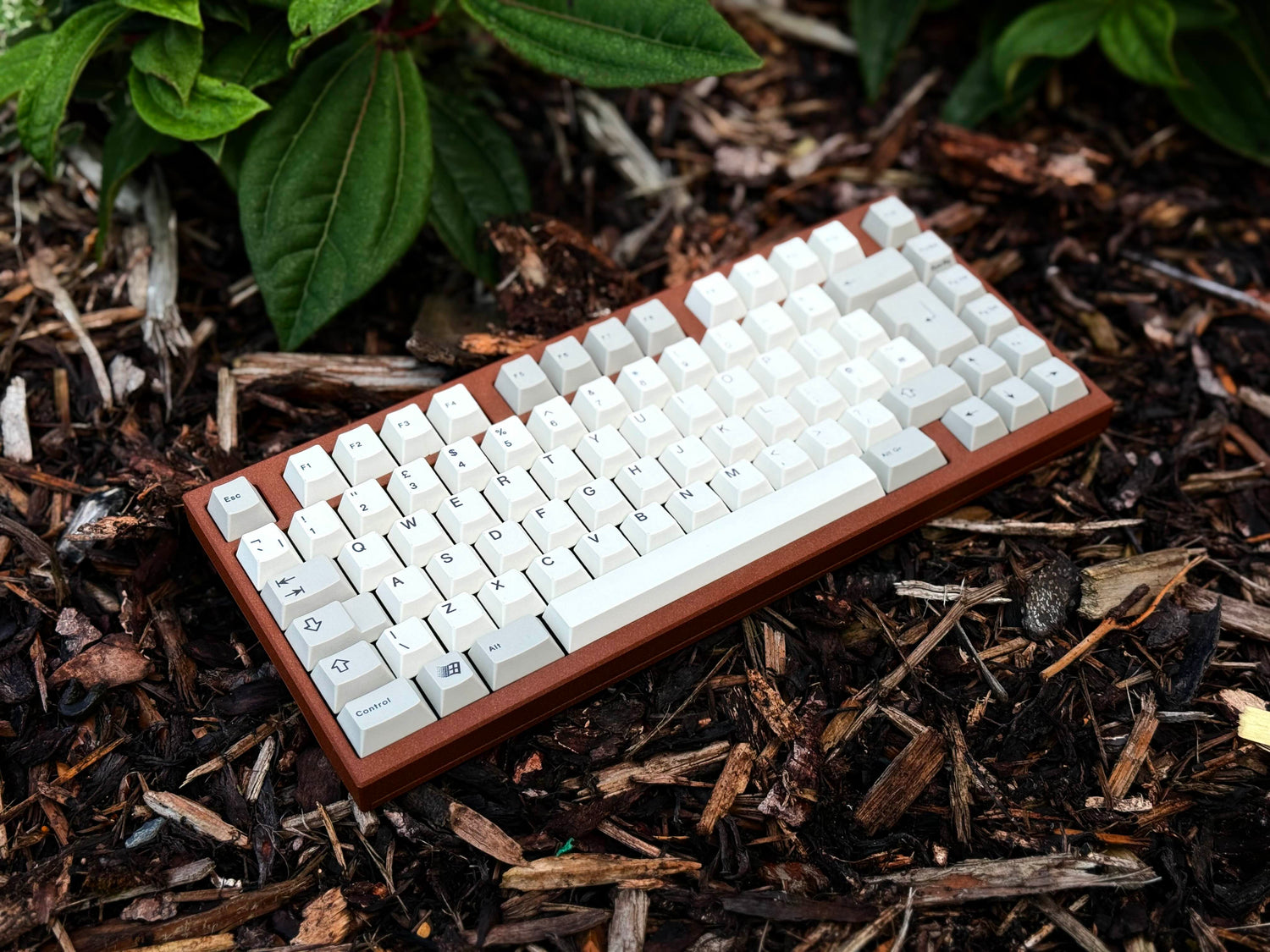 What the thock is up with the weather?