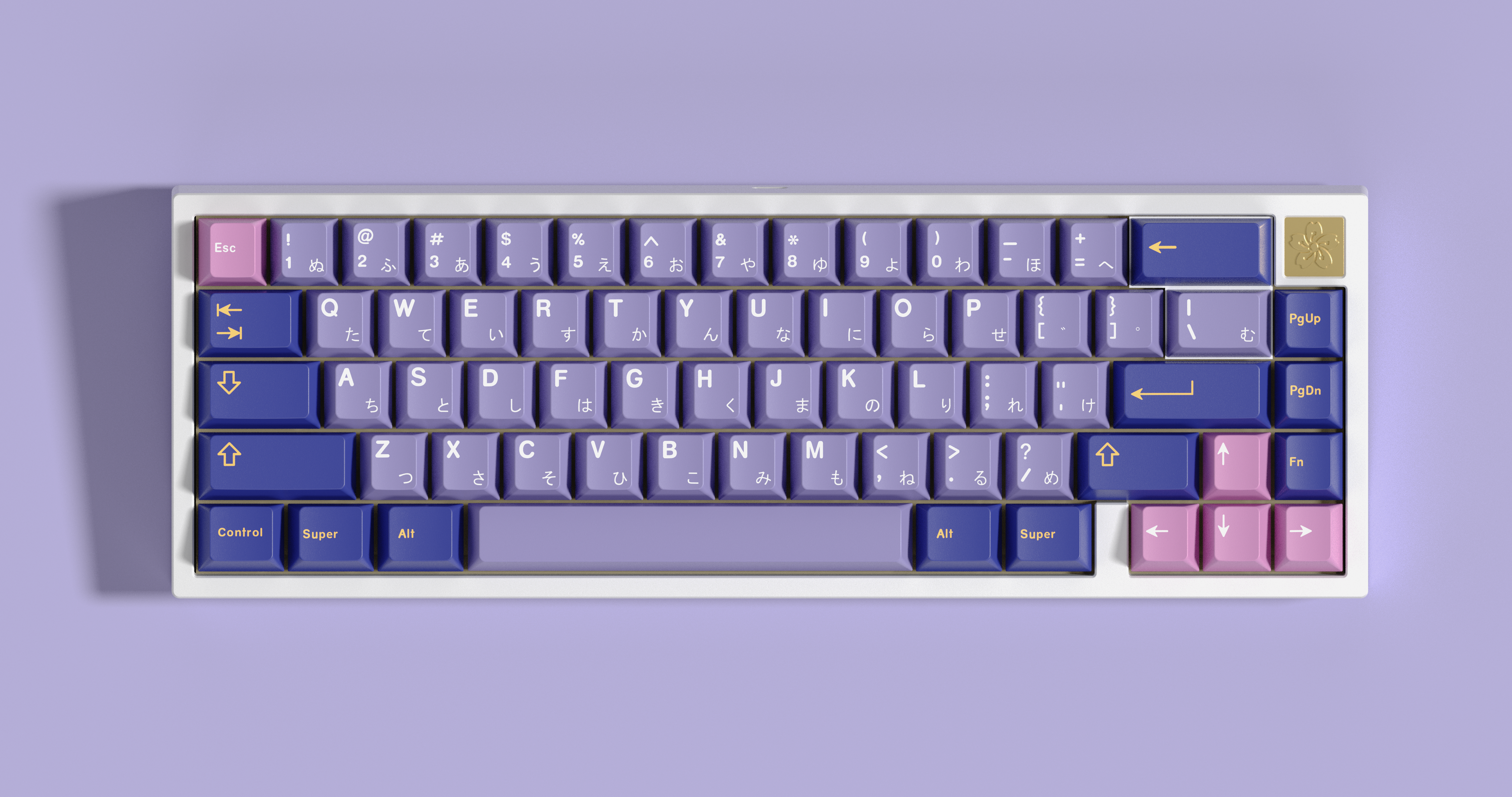 (Group Buy) MW Endpoint Keyset