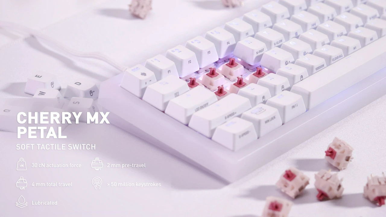 (In Stock) Cherry Petal Switches (MX2A) (10 Pack)