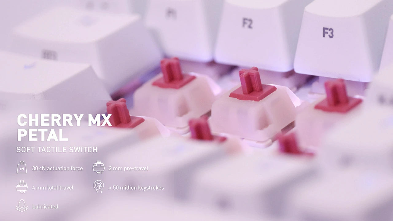 (In Stock) Cherry Petal Switches (MX2A) (10 Pack)