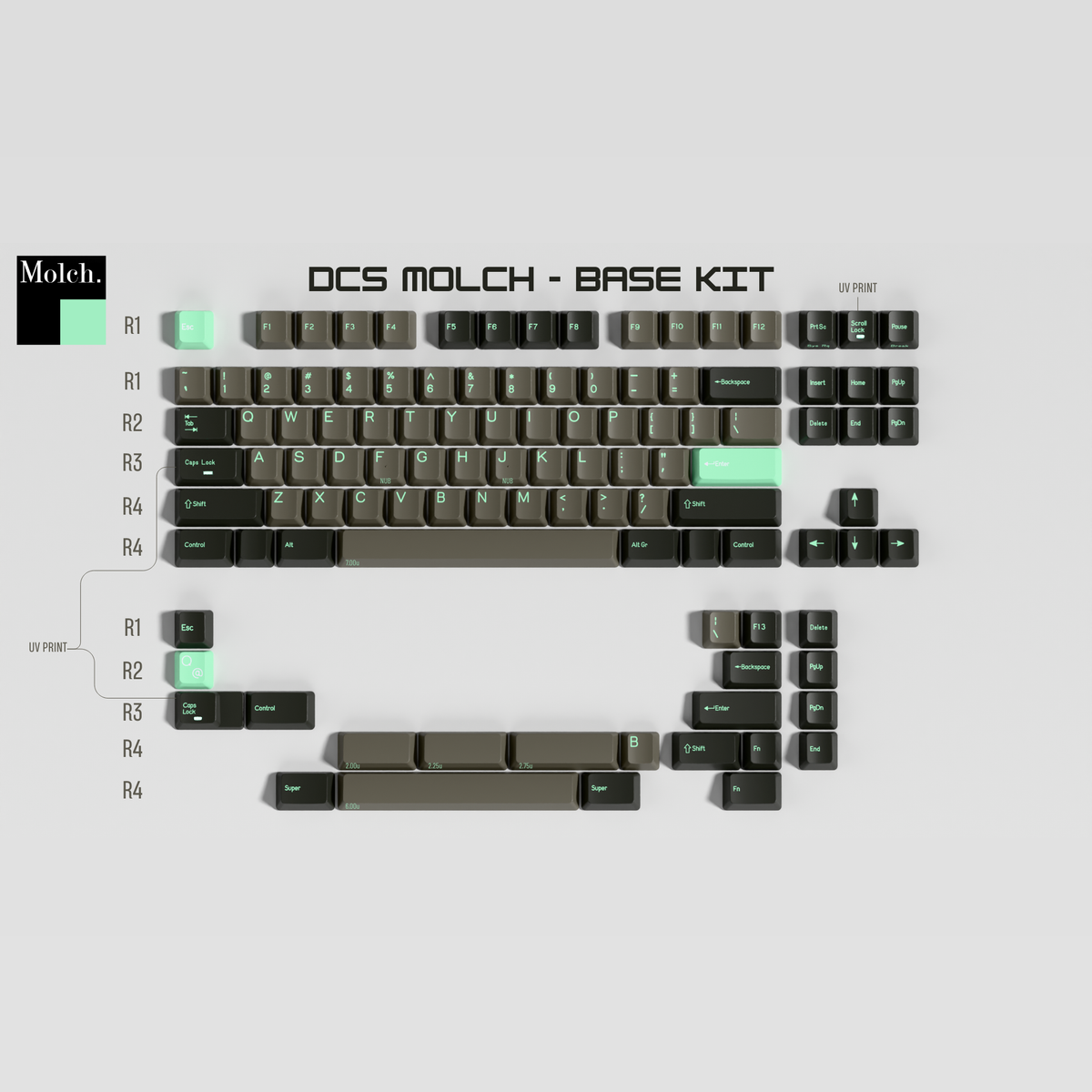 (Coming Soon) DCS Molch