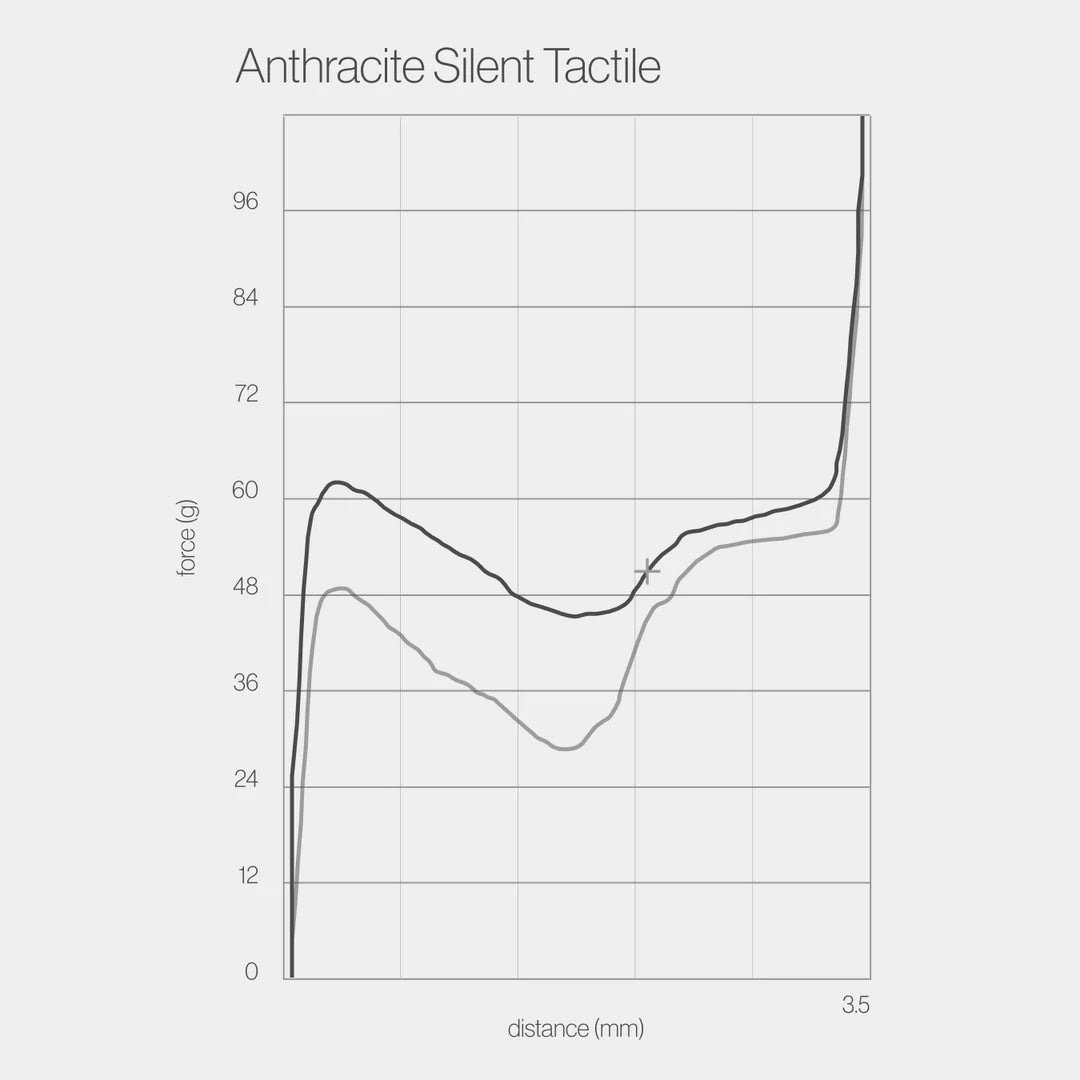 (Pre-Order) Mode SixtyFive 2024 Accessories
