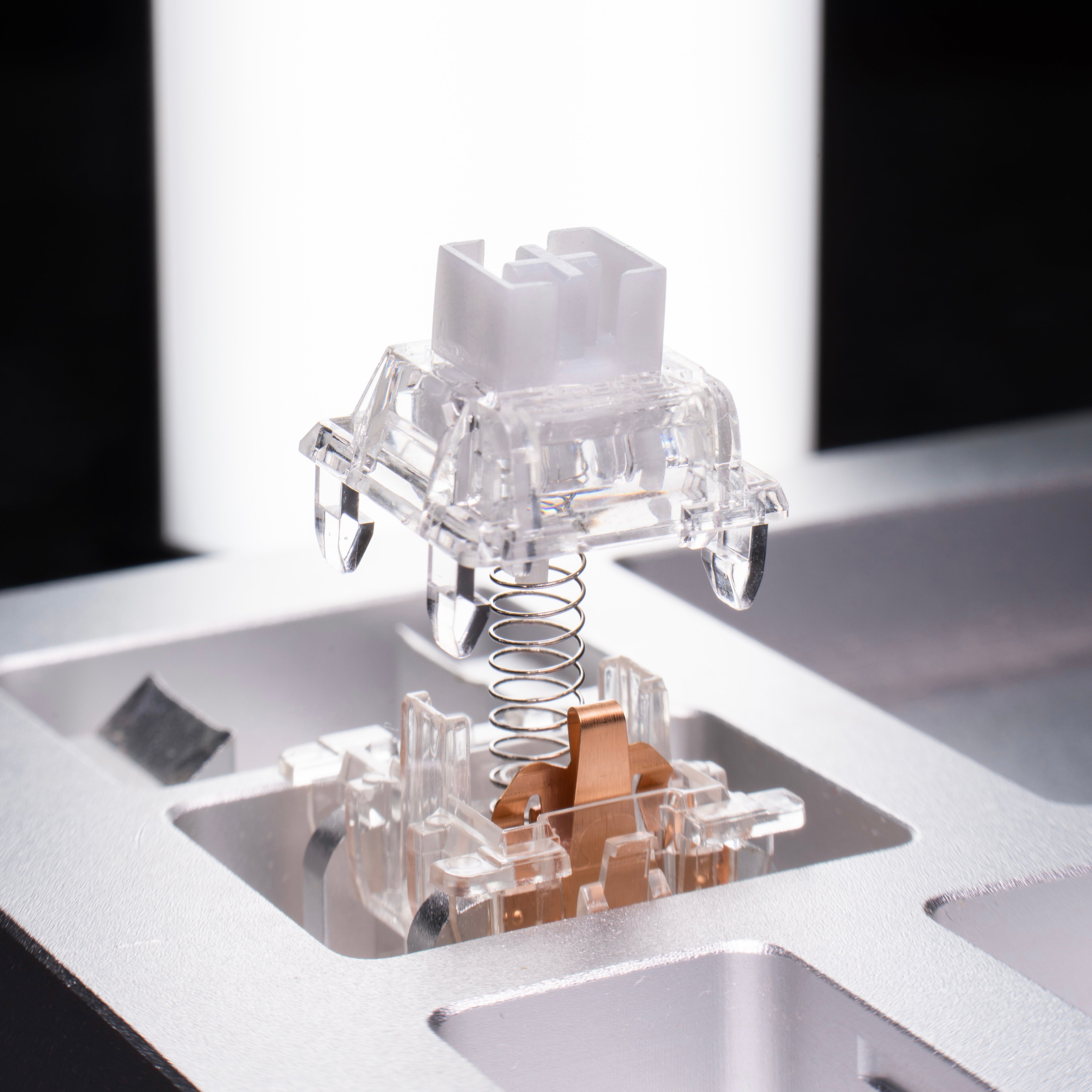 (In Stock) DRY STUDIO Black Diamond 75