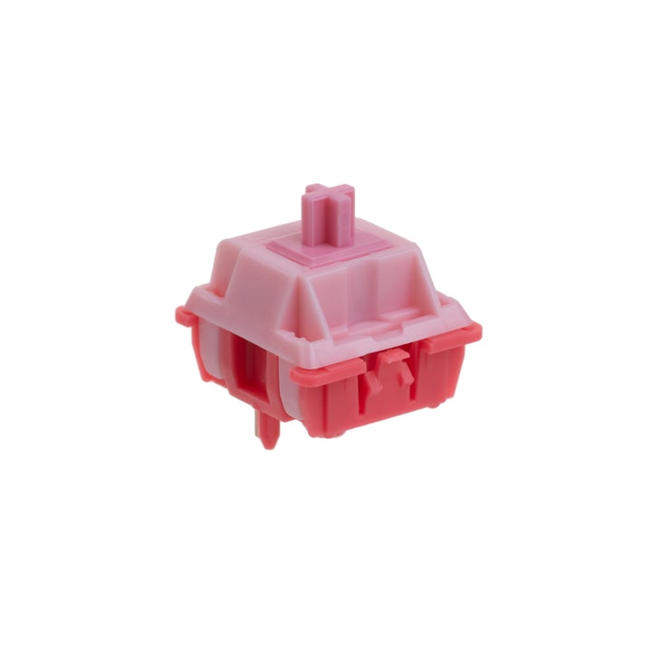(In Stock) Korbs Switches (10 Pack)