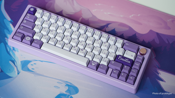 (Group Buy) Zoom65 Essential Edition R2