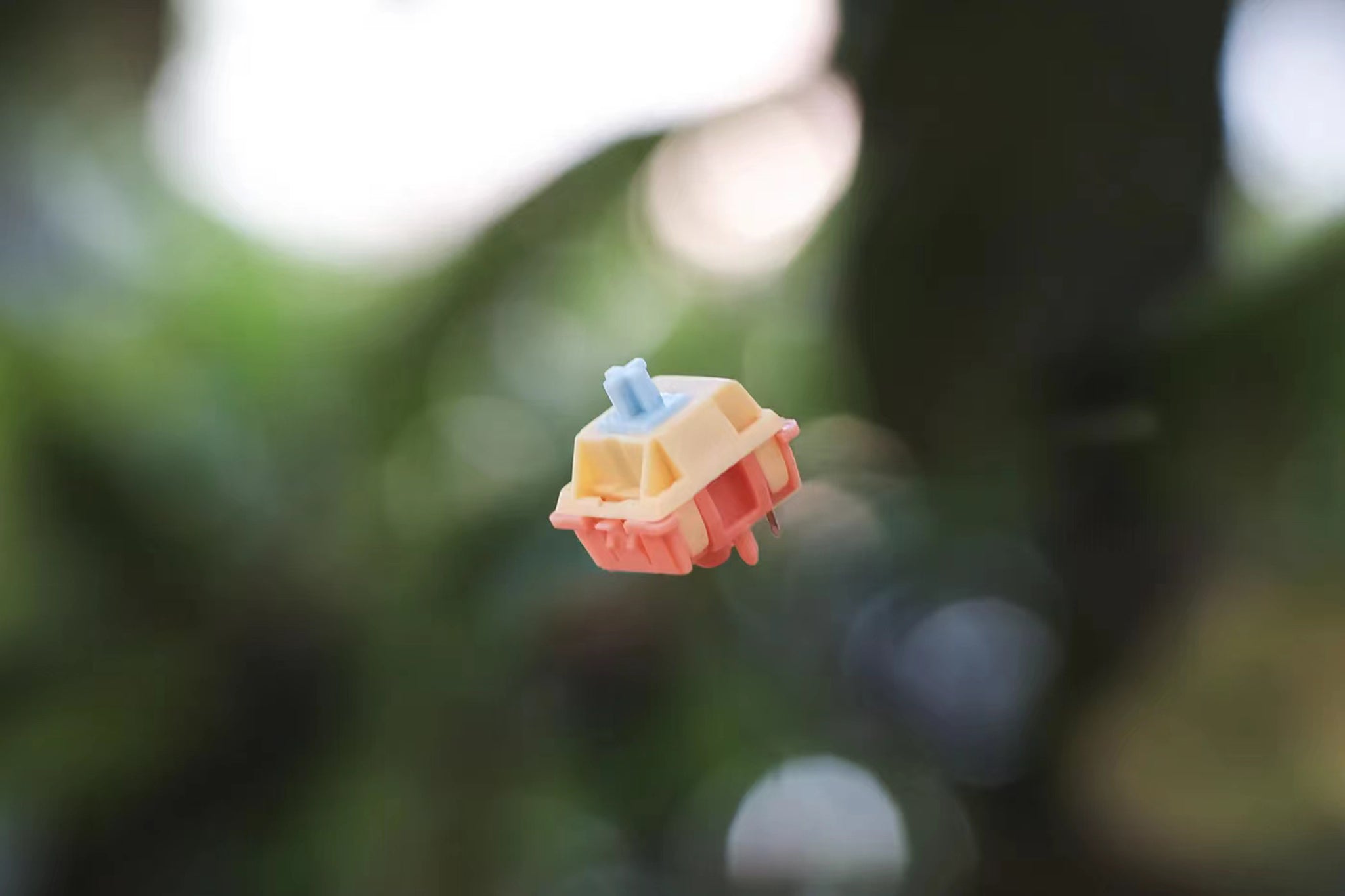 (In Stock) Autumn Rain Switches (10 Pack)