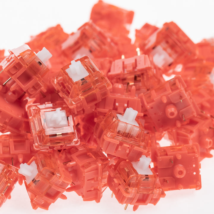 (In Stock) Coral Switches (10 Pack)