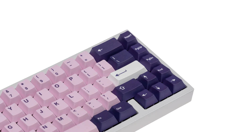 (In Stock) NicePBT Elderberry