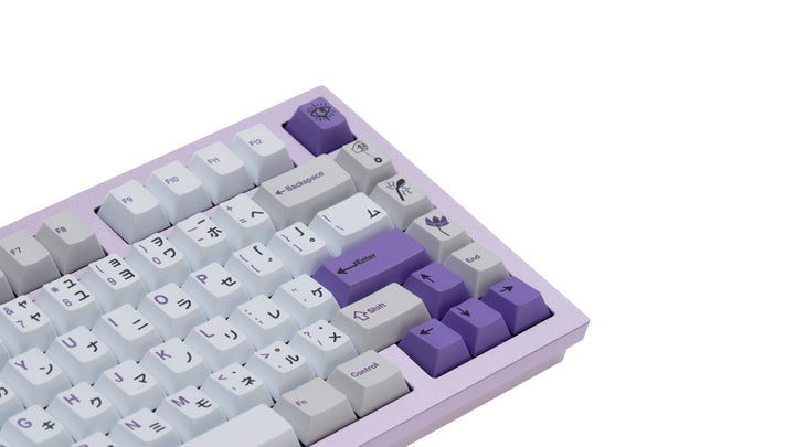 (In Stock) CannonCaps Esper