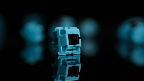 (Pre-Order) Clackbits Linear Switches