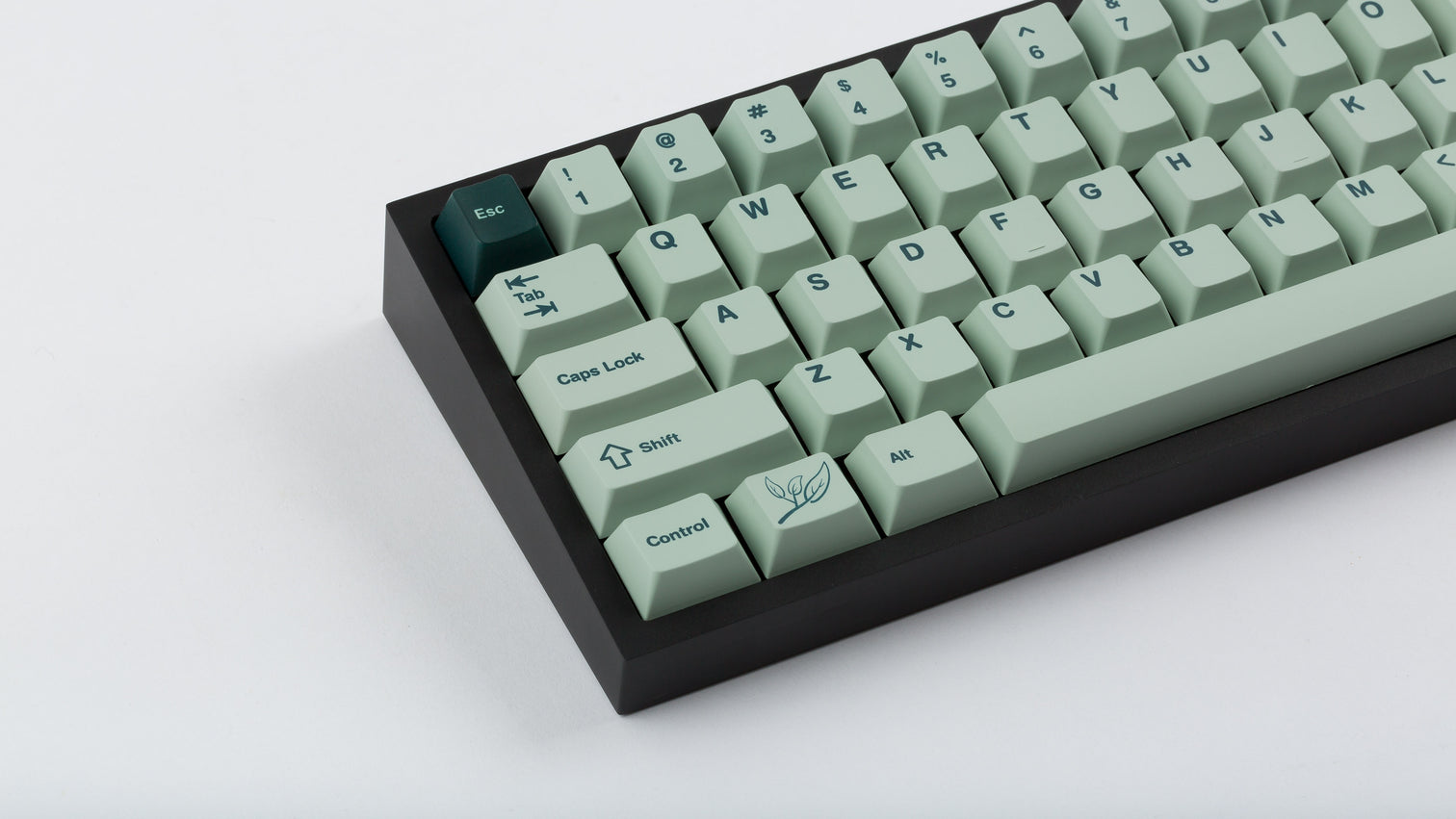 (In Stock) NK Cherry Sage