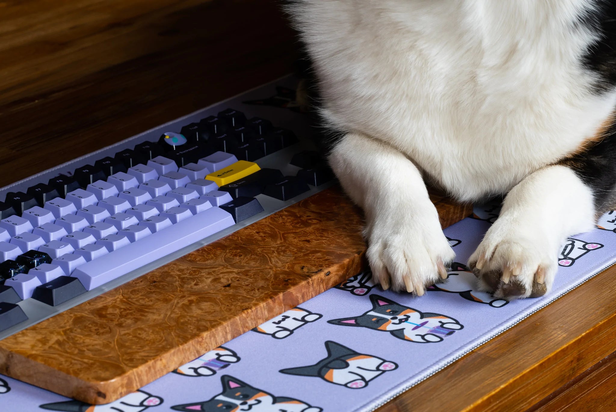 (In Stock) Corgi Deskmats