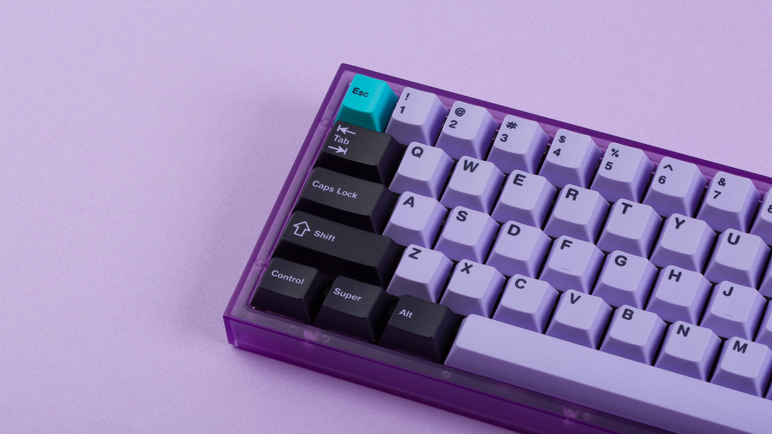 (In Stock) NK Cherry Taro