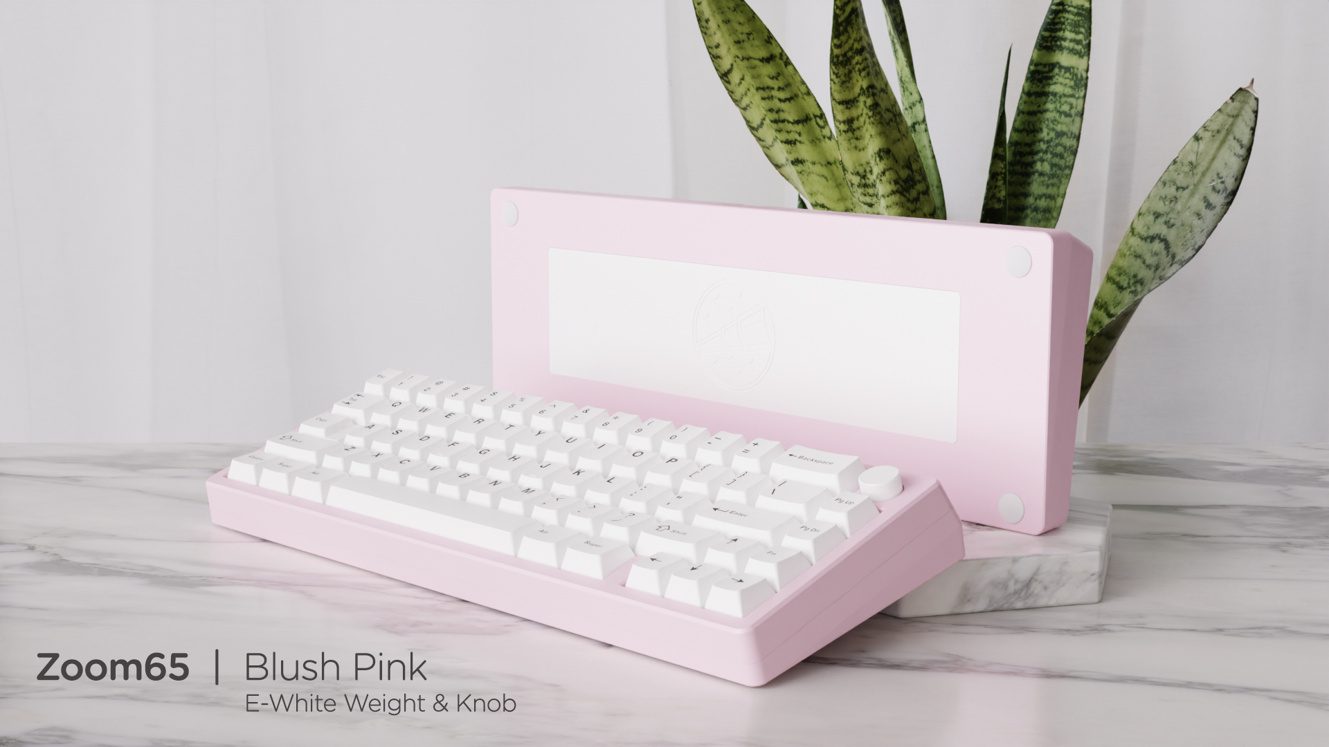 (In Stock) Zoom65 Essential Edition