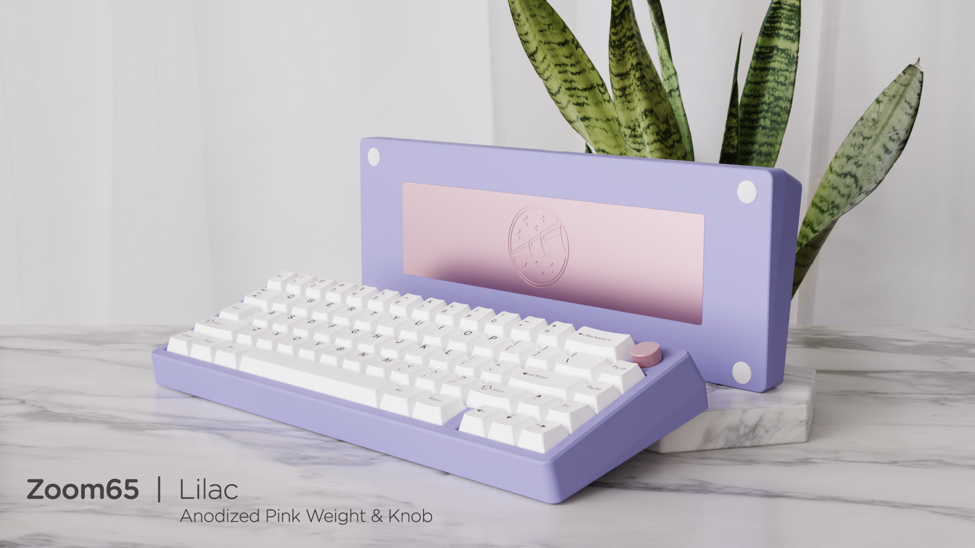 (In Stock) Zoom65 Essential Edition