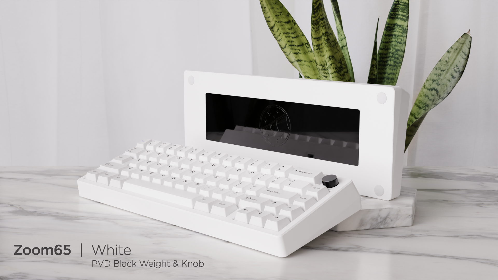 (Group Buy) Zoom65 Essential Edition