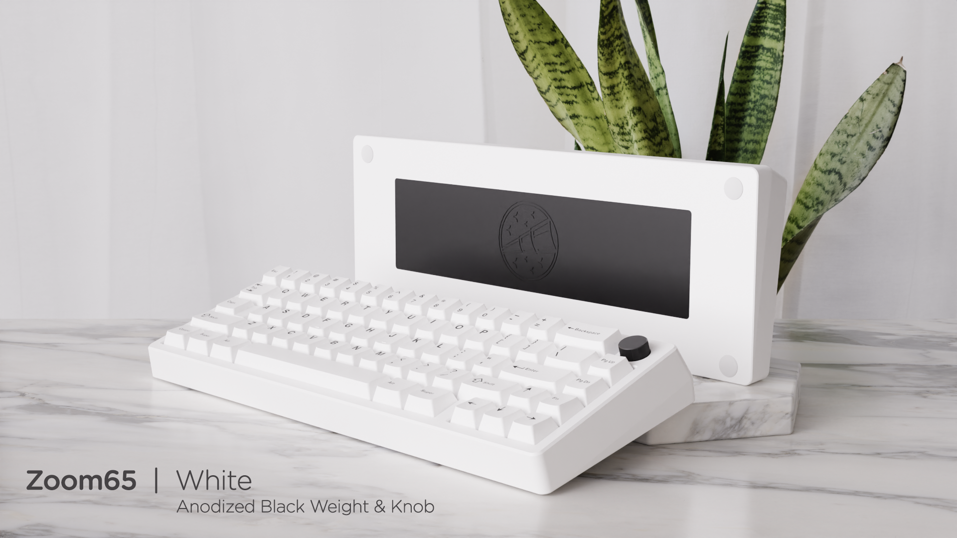 (In Stock) Zoom65 Essential Edition