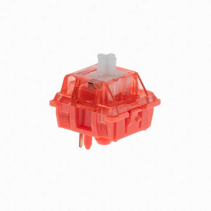 (In Stock) Coral Switches (10 Pack)
