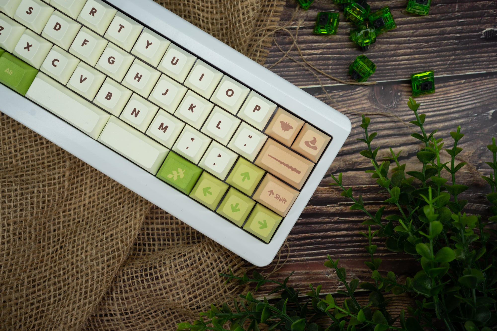 (Group Buy) Infinikey DSA Nature Witch