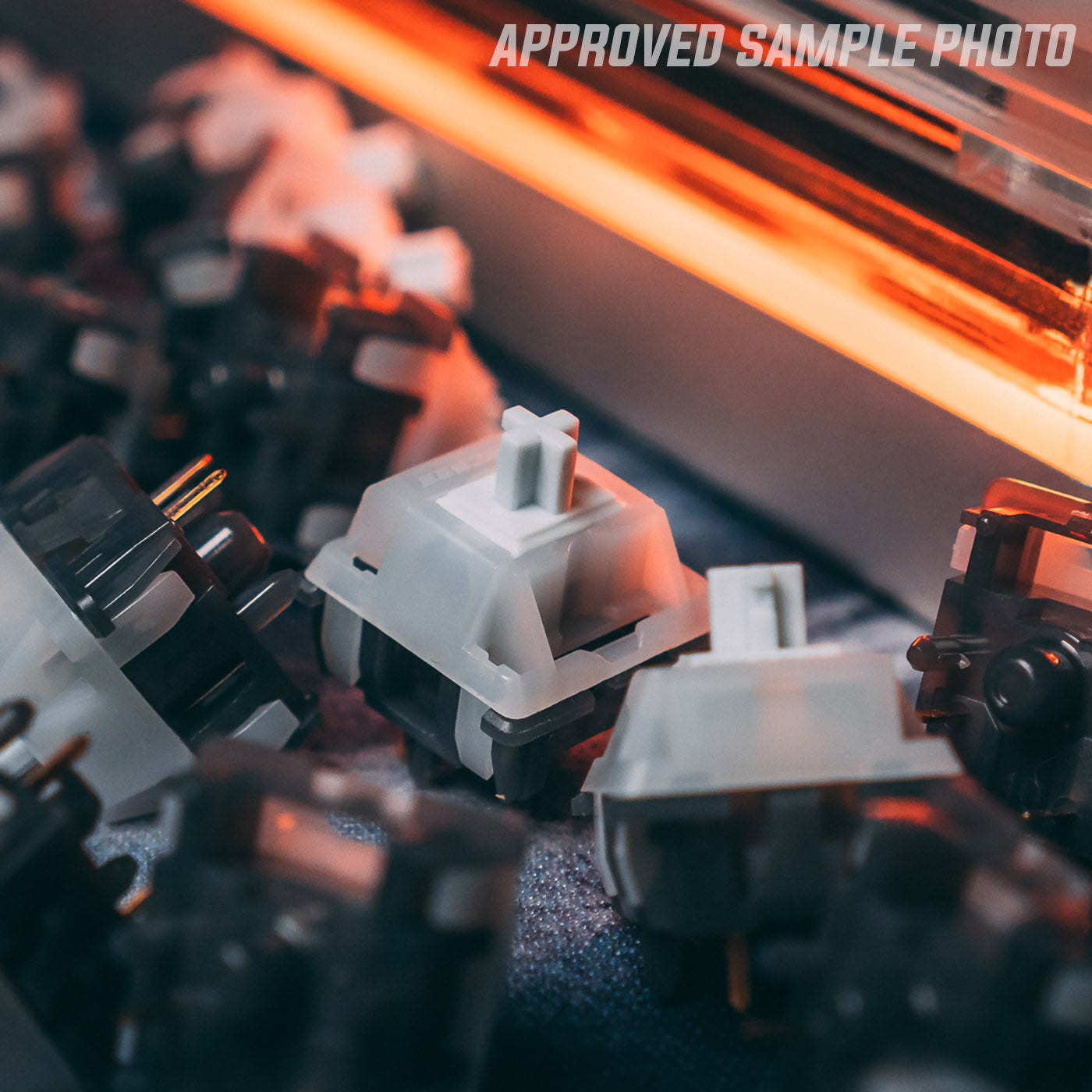 (Group Buy) IV Ashes