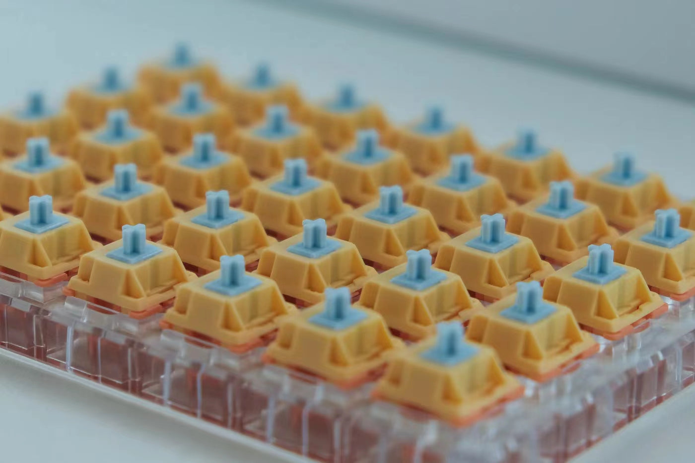 (In Stock) Autumn Rain Switches (10 Pack)