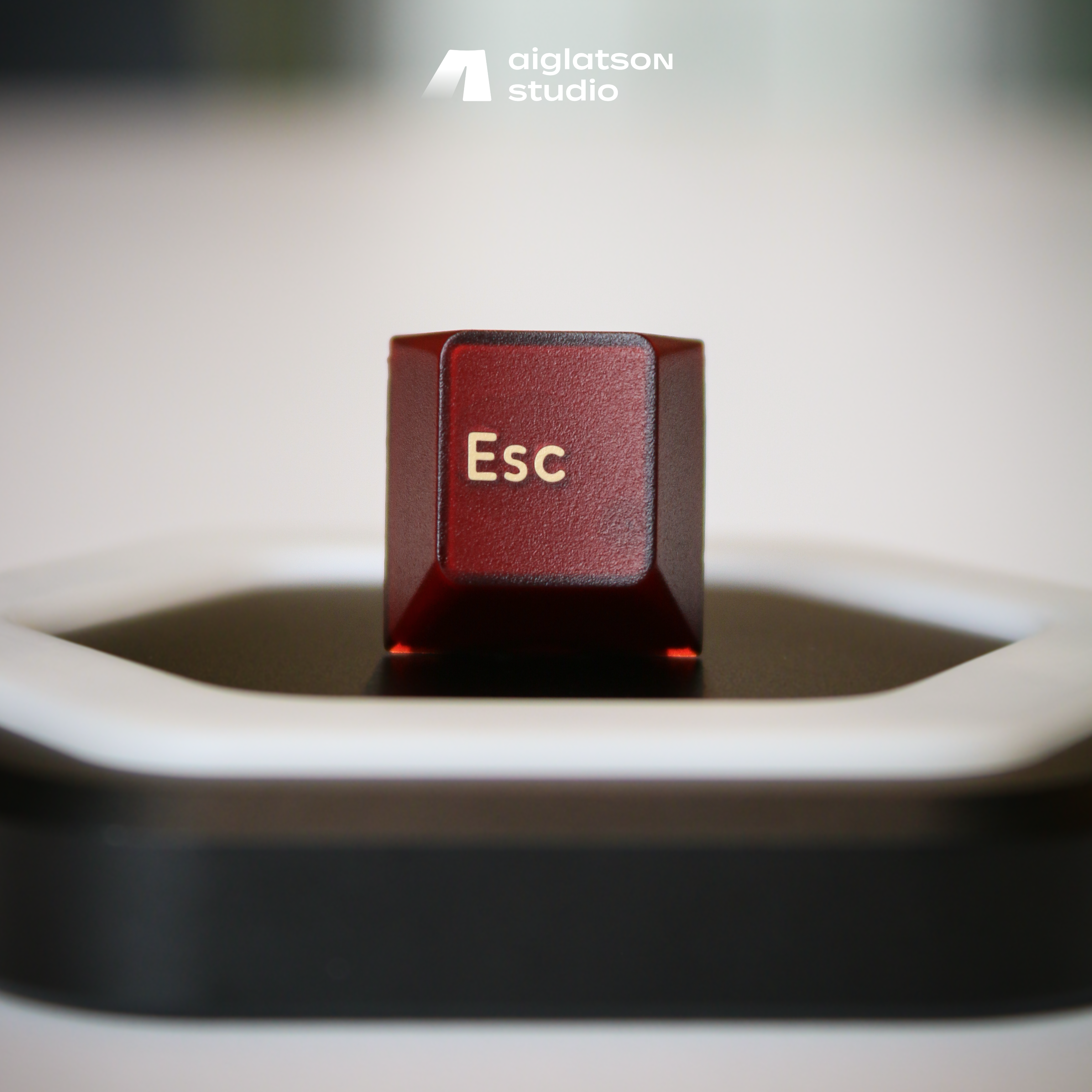 (Pre-Order) PBTFans PYGA Keycaps