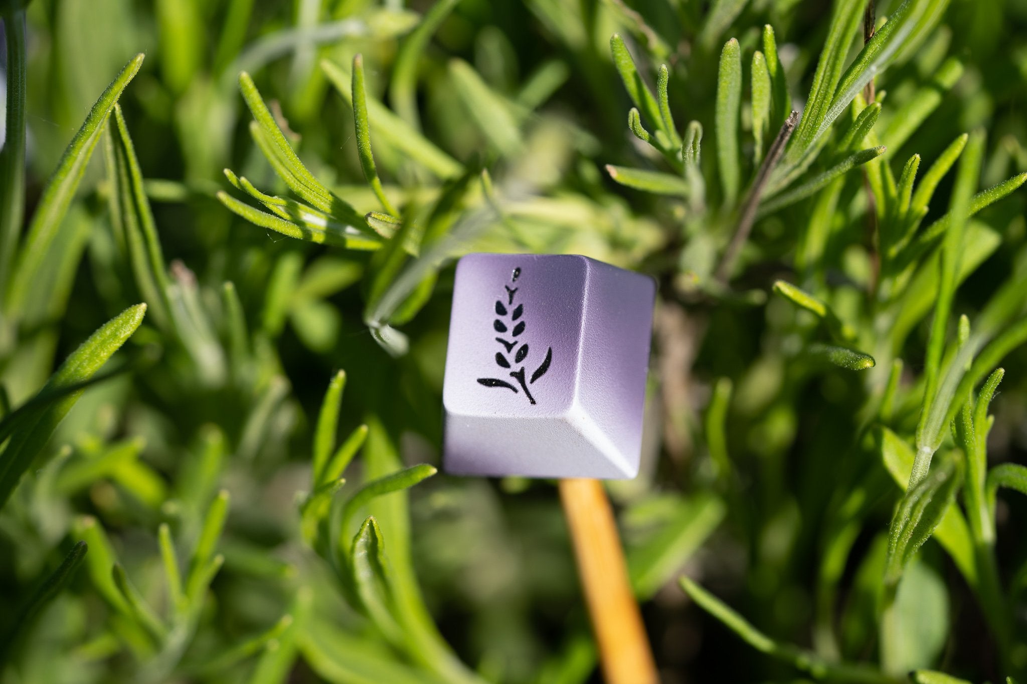 (Pre-Order) GMK Lavender