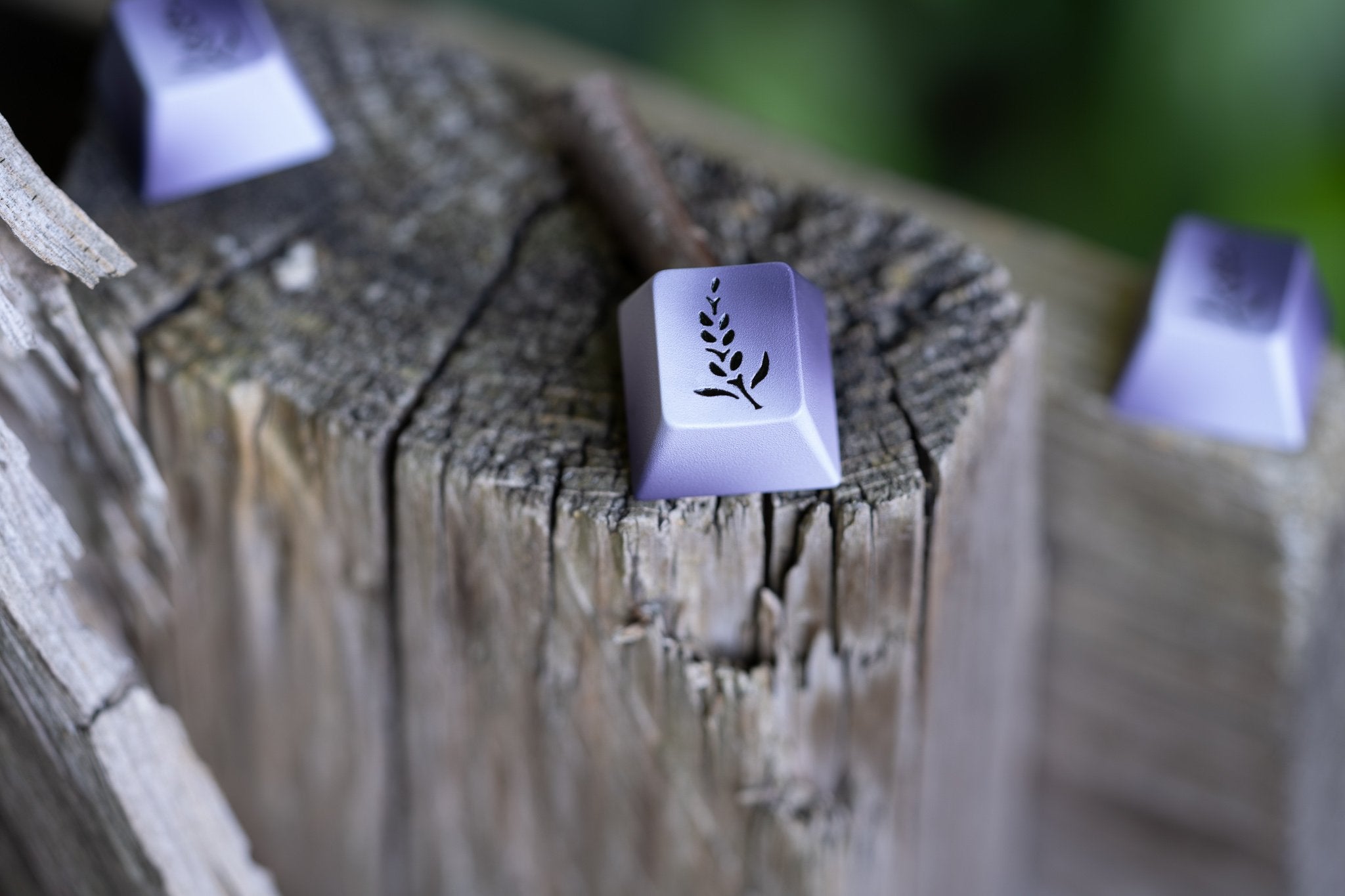 (Pre-Order) GMK Lavender