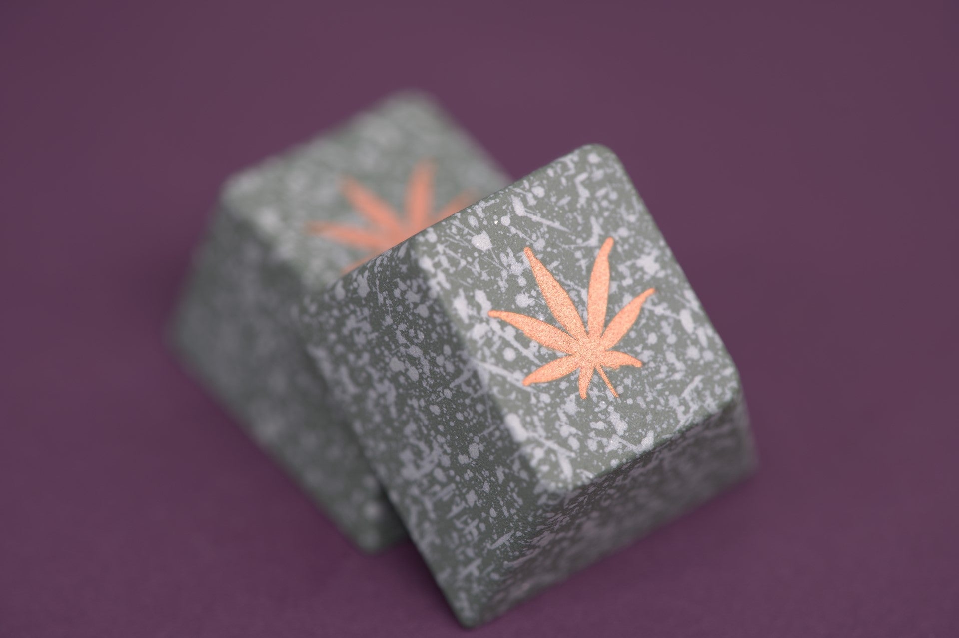 (In Stock) Salvun x GMK Zooted