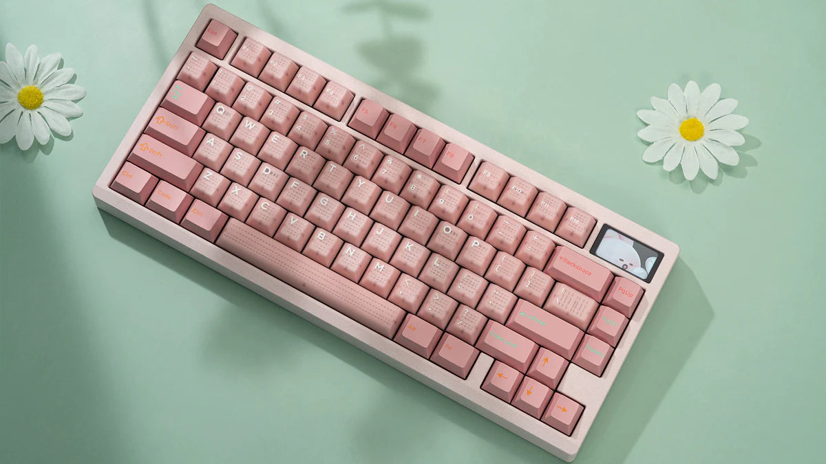 
                  
                    (Group Buy) Zoom75 EE Barebone Keyboard Kit Nov
                  
                
