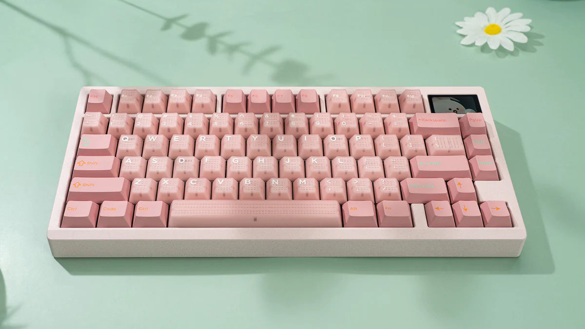 
                  
                    (Group Buy) Zoom75 EE Barebone Keyboard Kit Nov
                  
                