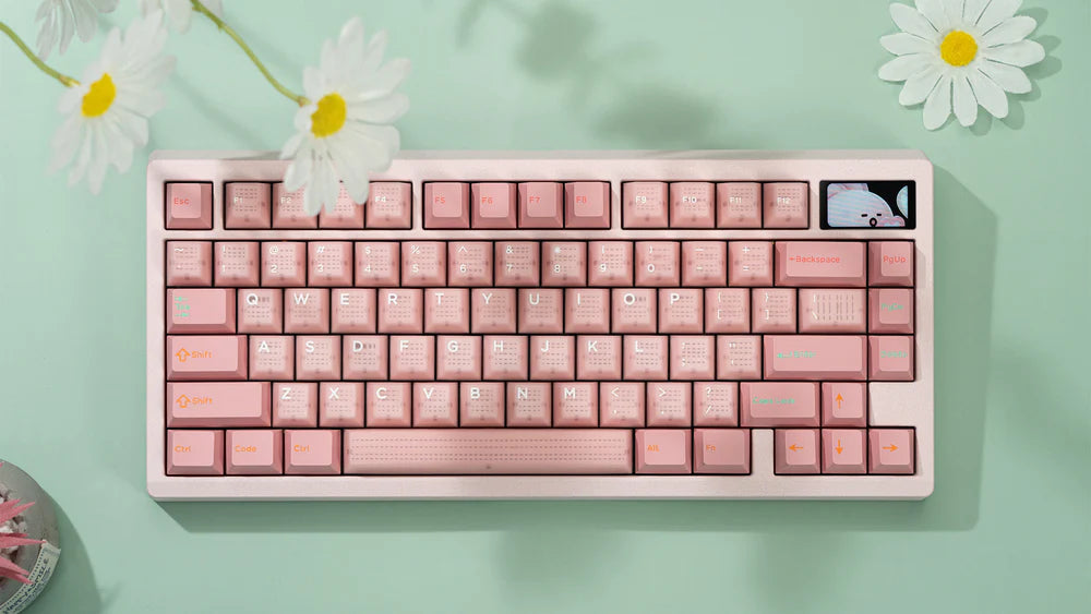 
                  
                    (Group Buy) Zoom75 EE Barebone Keyboard Kit Nov
                  
                