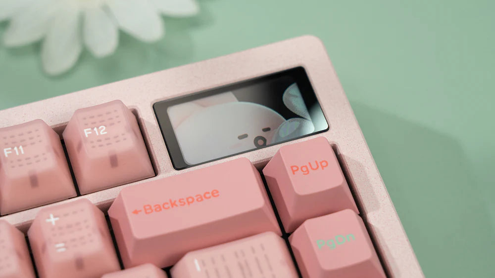 
                  
                    (Group Buy) Zoom75 EE Barebone Keyboard Kit Nov
                  
                