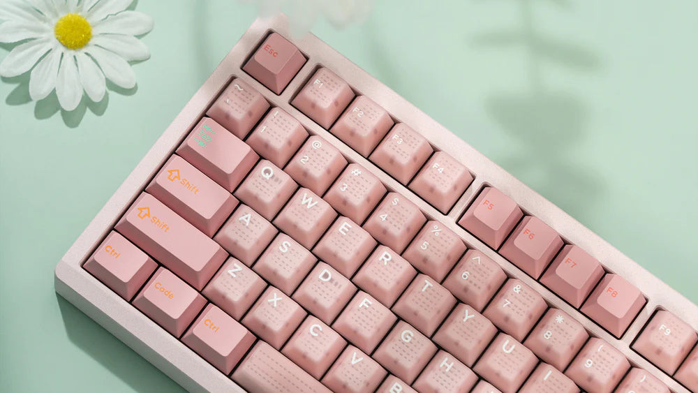 
                  
                    (Group Buy) Zoom75 EE Barebone Keyboard Kit Nov
                  
                