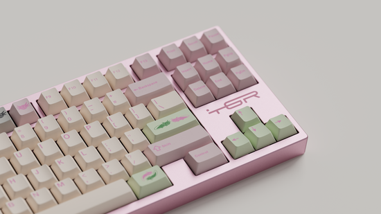 (In Stock) ePBT Axolotls Keyset