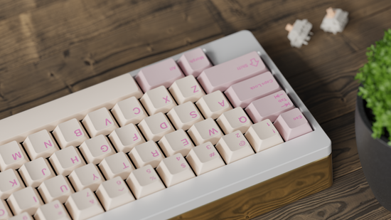 (In Stock) ePBT Axolotls Keyset