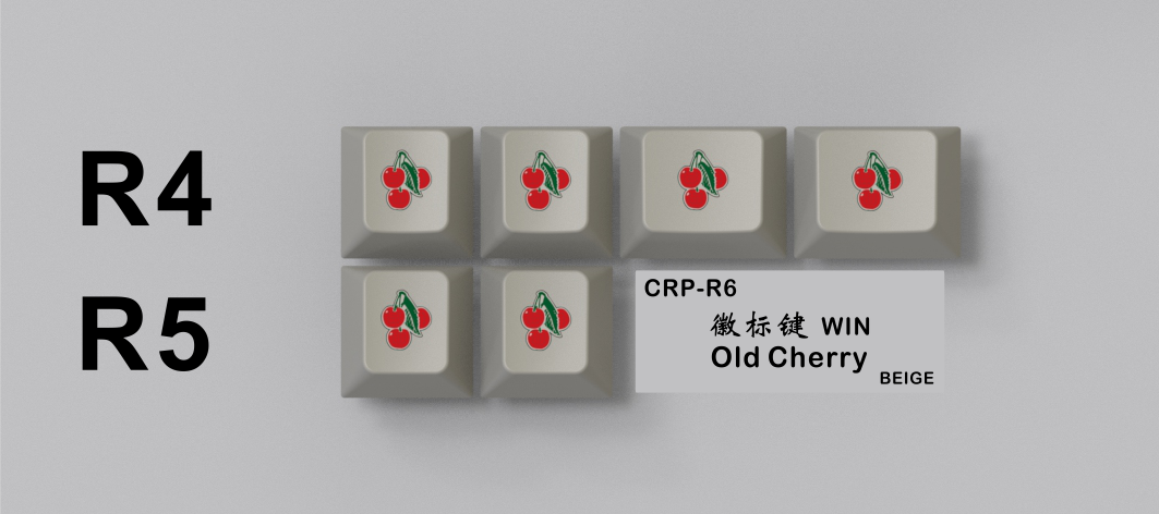 
                  
                    (Group Buy) CRP R6
                  
                