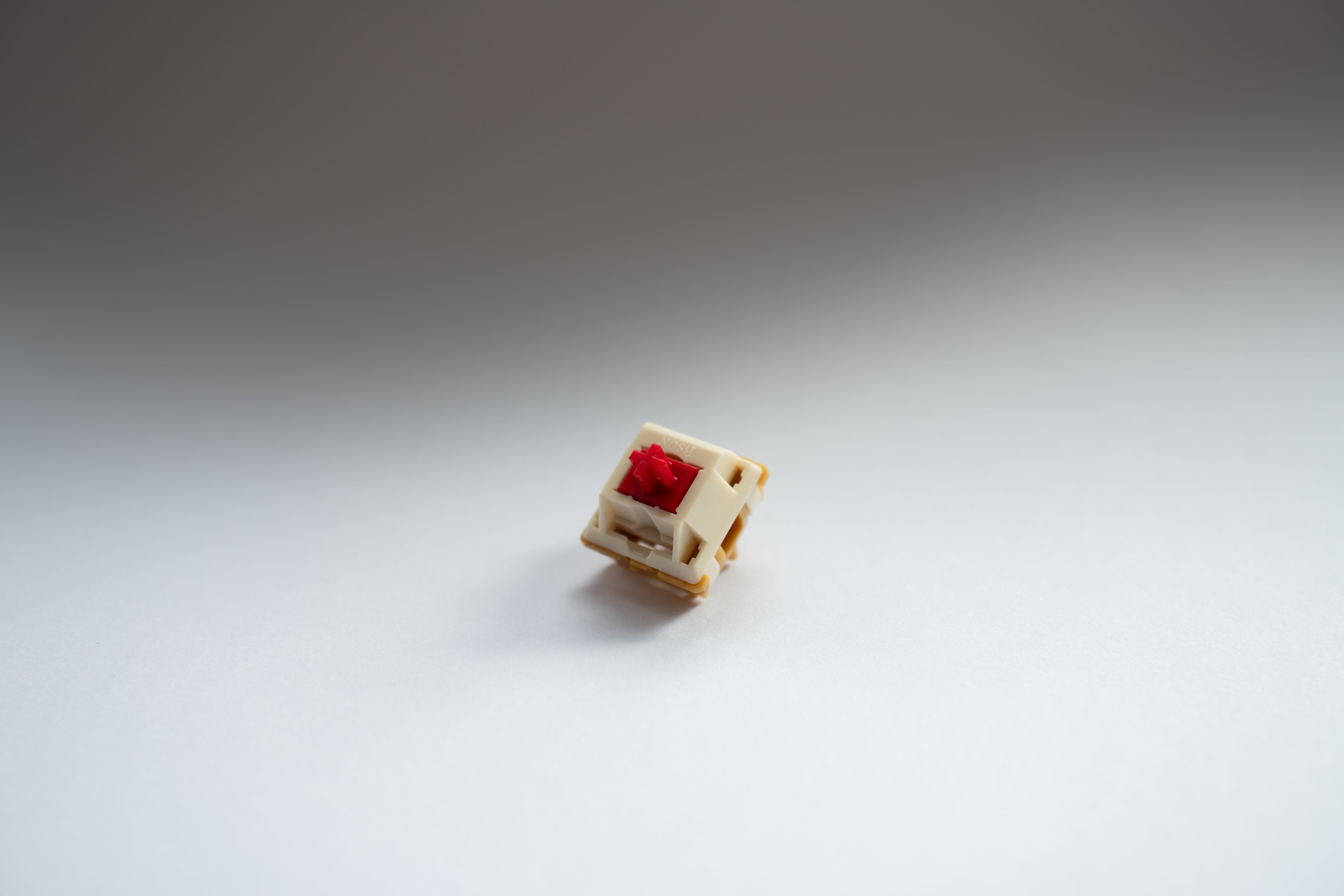 (Pre-Order) Cheesecake Switches