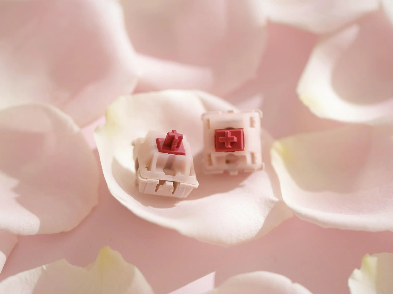 (In Stock) Cherry Petal Switches (MX2A) (10 Pack)