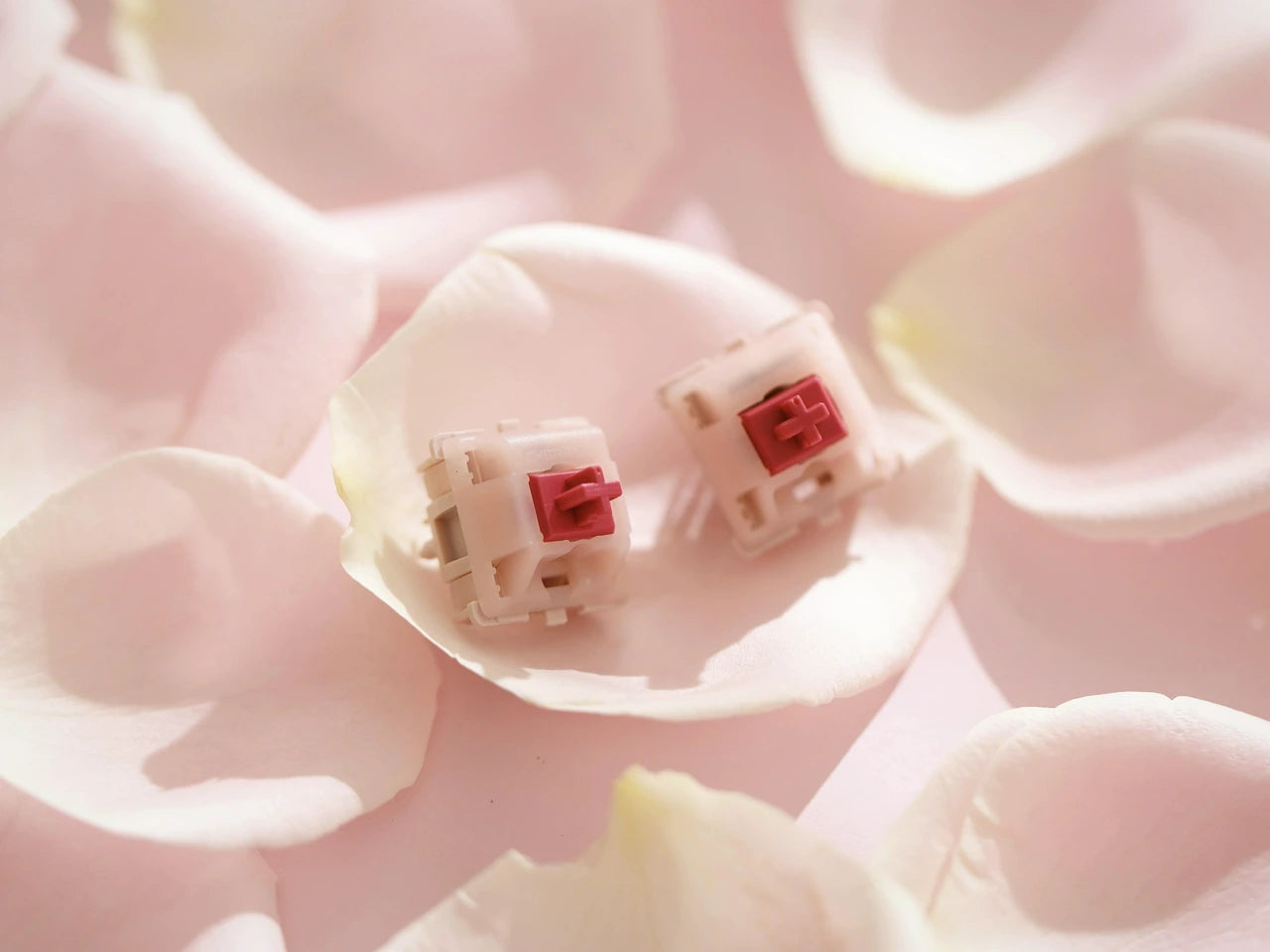(In Stock) Cherry Petal Switches (MX2A) (10 Pack)