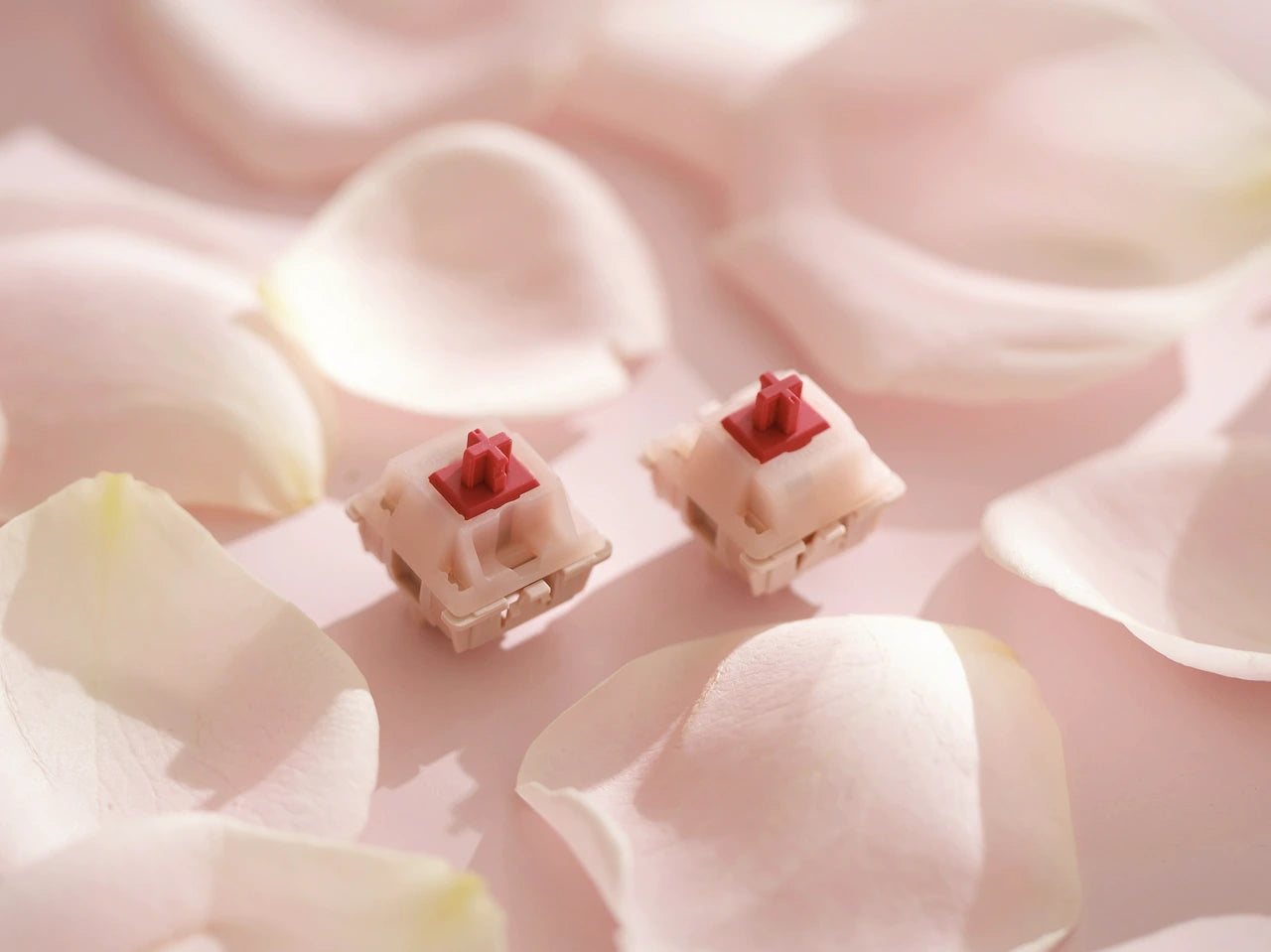 (In Stock) Cherry Petal Switches (MX2A) (10 Pack)