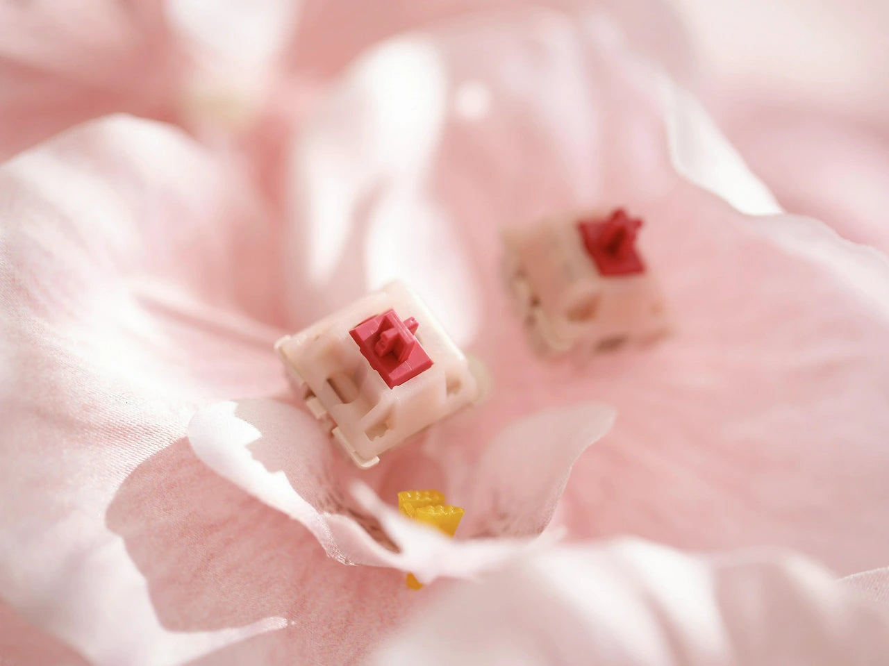 (In Stock) Cherry Petal Switches (MX2A) (10 Pack)