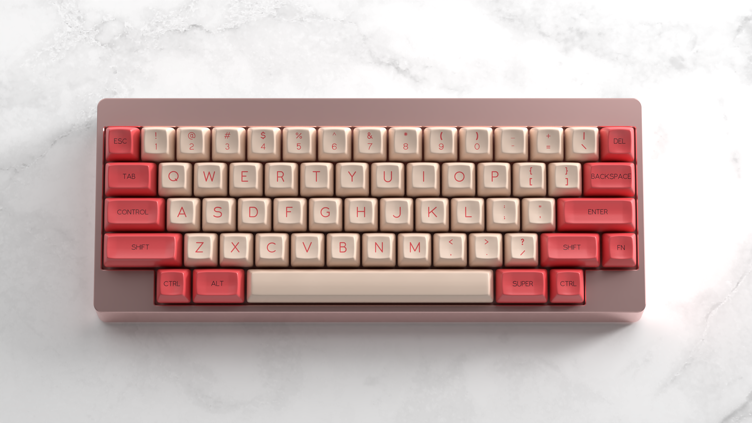 (In Stock) SA Fledgling