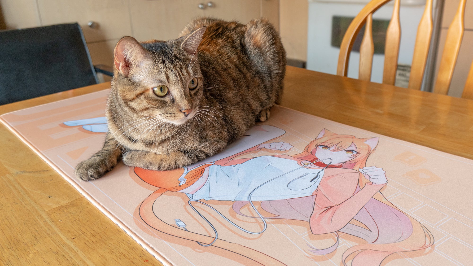 (Group Buy) Catgirl Deskmats