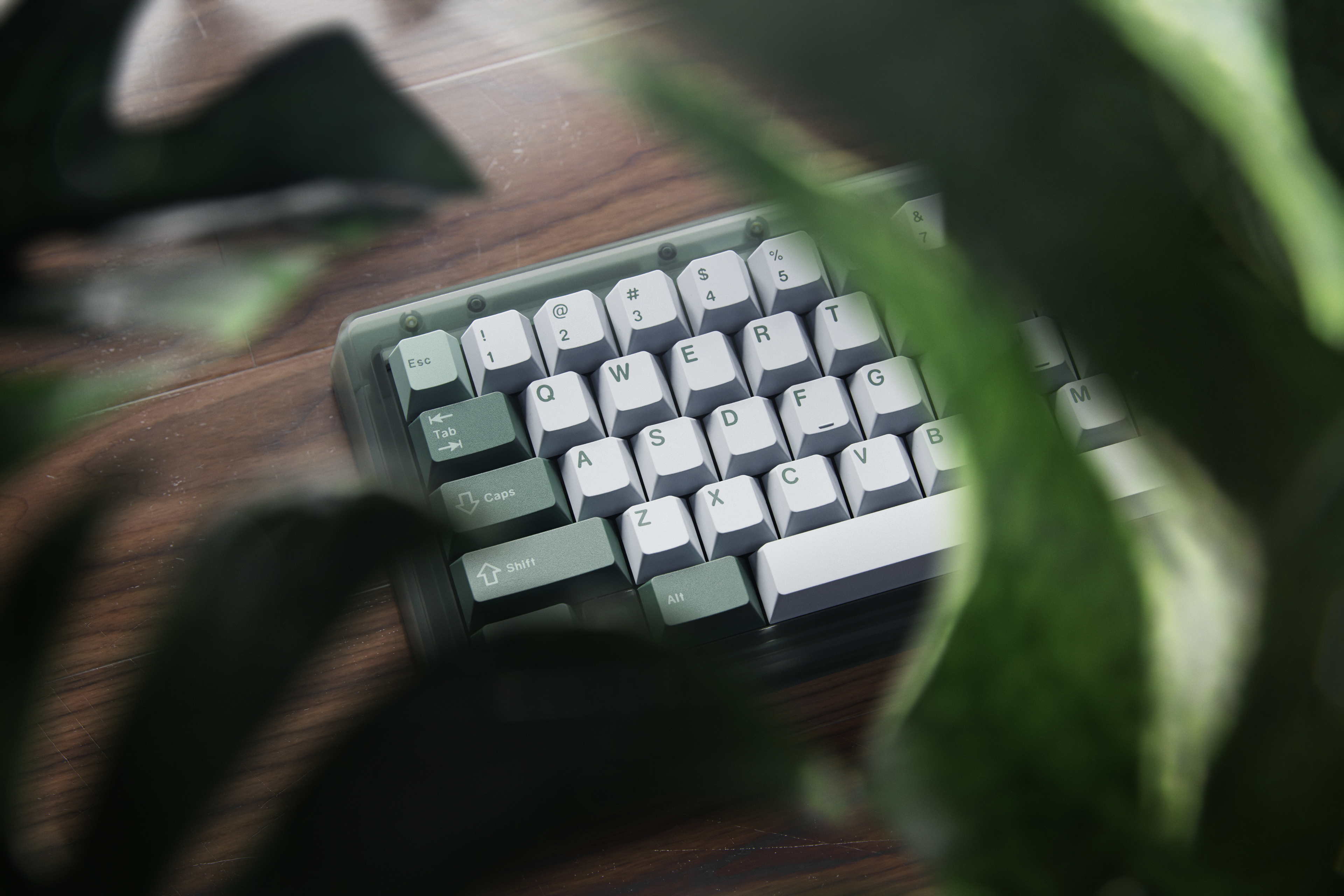 (In Stock) GMK CYL Botanical 2 Keycap Set