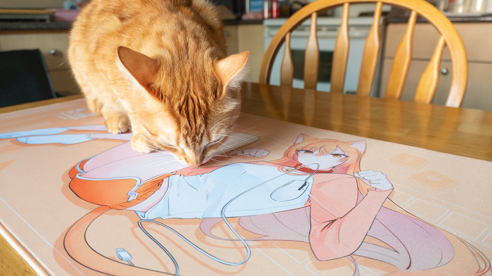 (Group Buy) Catgirl Deskmats