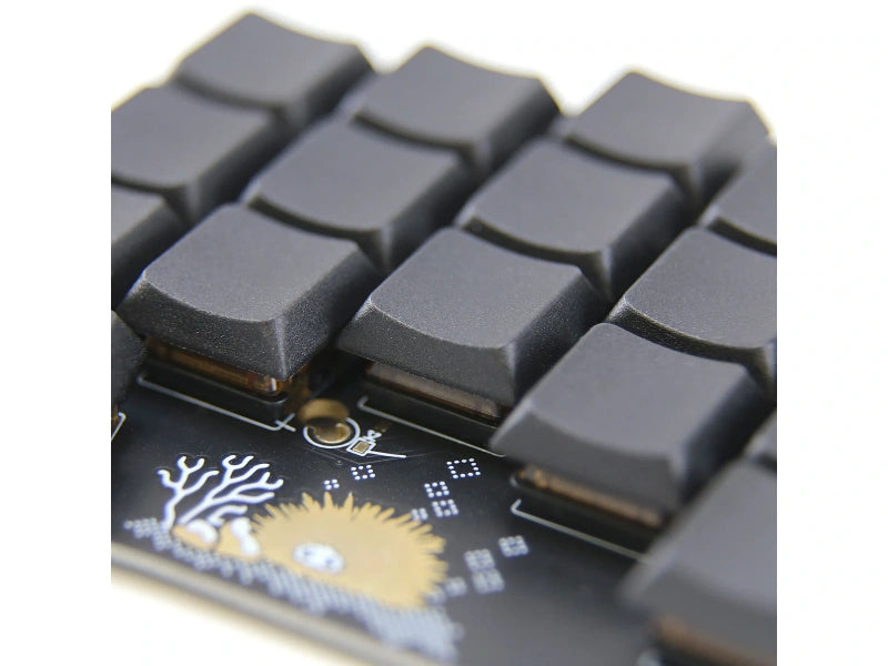 (Group Buy) DDC Keycaps