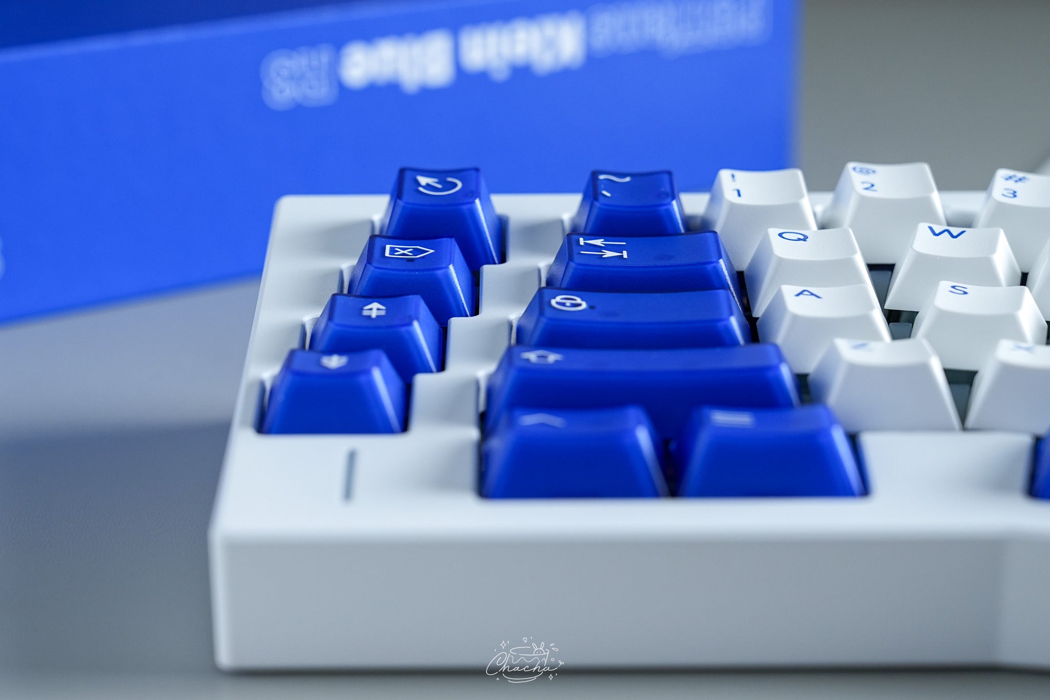 (In Stock) PBTfans Klein Blue R3