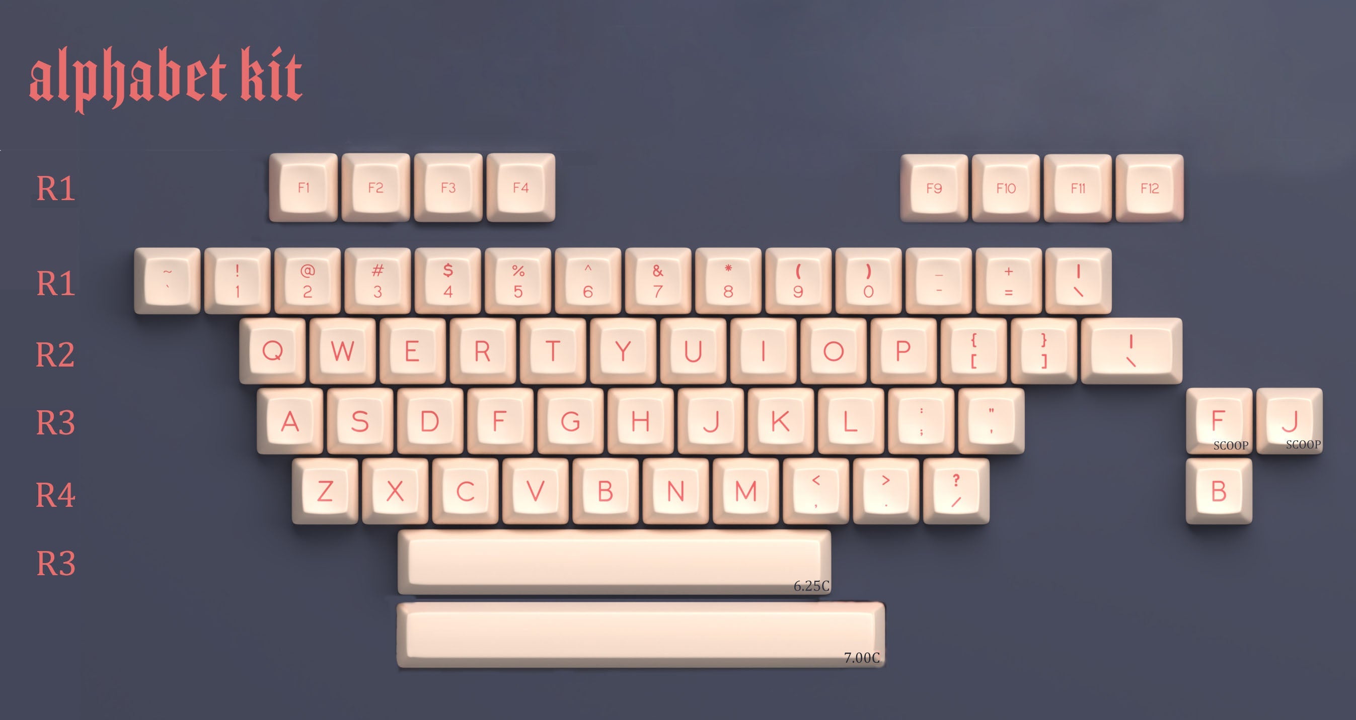 (In Stock) SA Fledgling