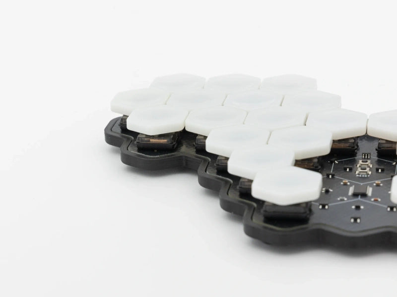 (Group Buy) Hexapoda Keyboard Kit